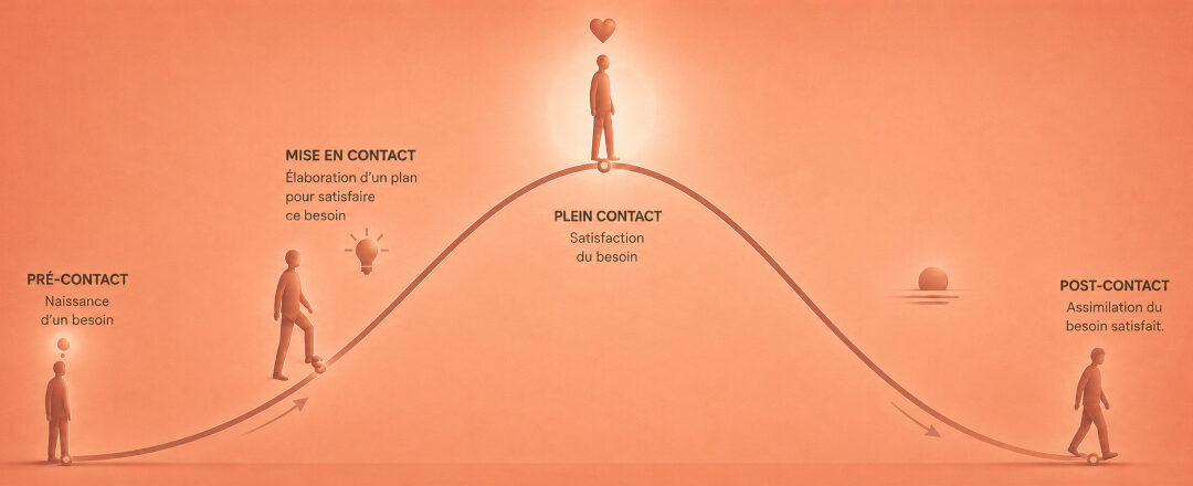 Le cycle du contact en Gestalt-thérapie : une clé pour mieux se comprendre