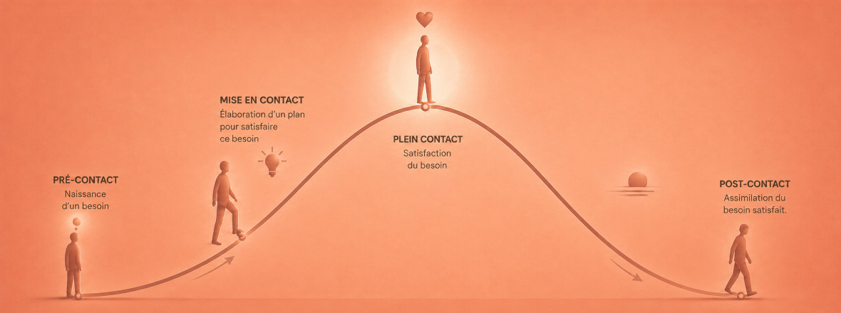 Le cycle du contact en Gestalt-thérapie : une clé pour mieux se comprendre